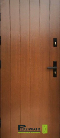 DZ-303